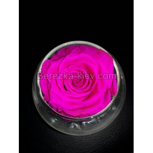 Стабилизированная роза в вазе (розовая)